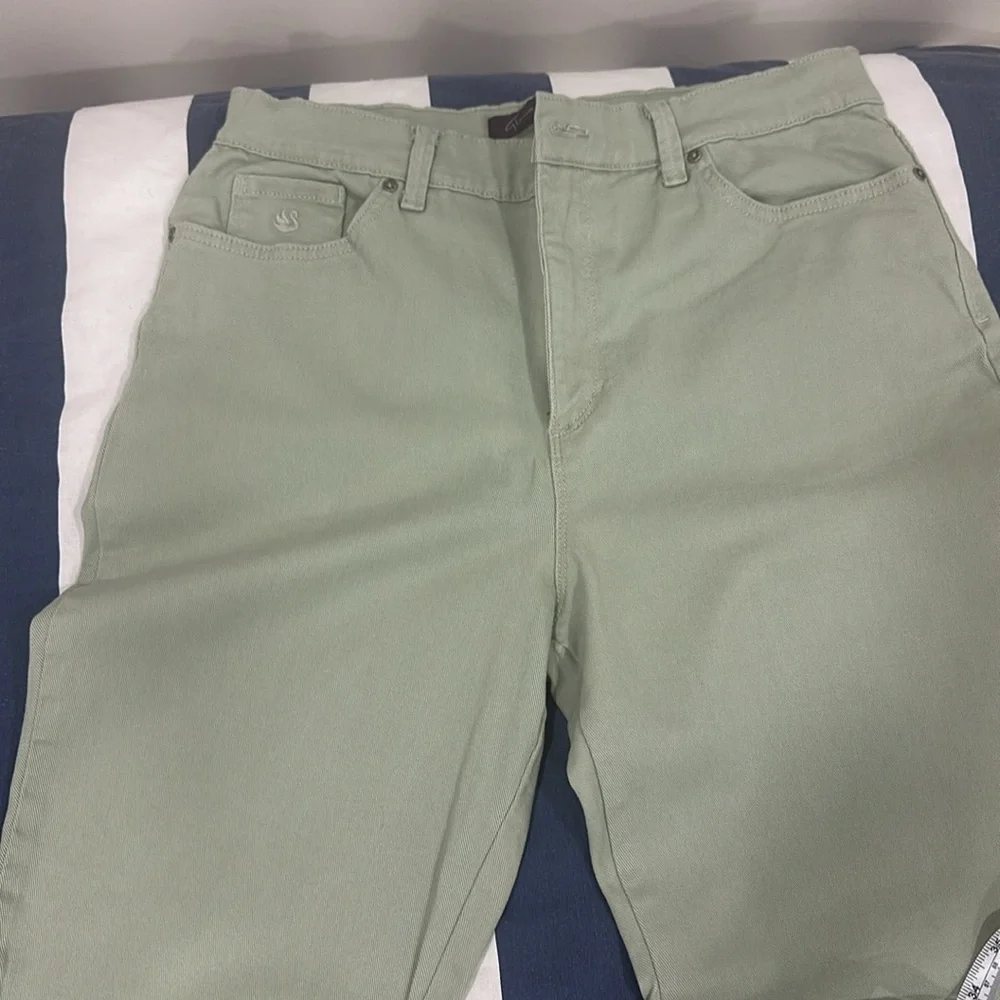 Gloria Vanderbilt Sage denim pants. Used in good condition - Picture 4 of 12
